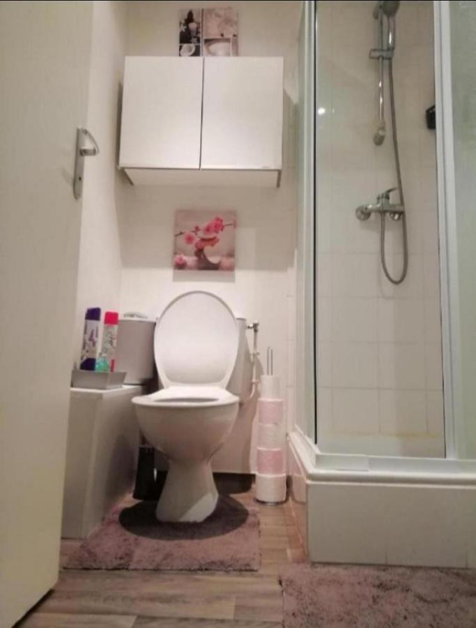 T1 Bis Calme Proche Centre Ville Apartment Saint-Etienne  Bagian luar foto