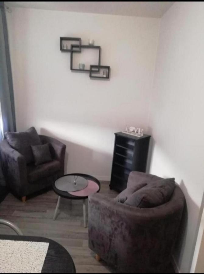 T1 Bis Calme Proche Centre Ville Apartment Saint-Etienne  Bagian luar foto
